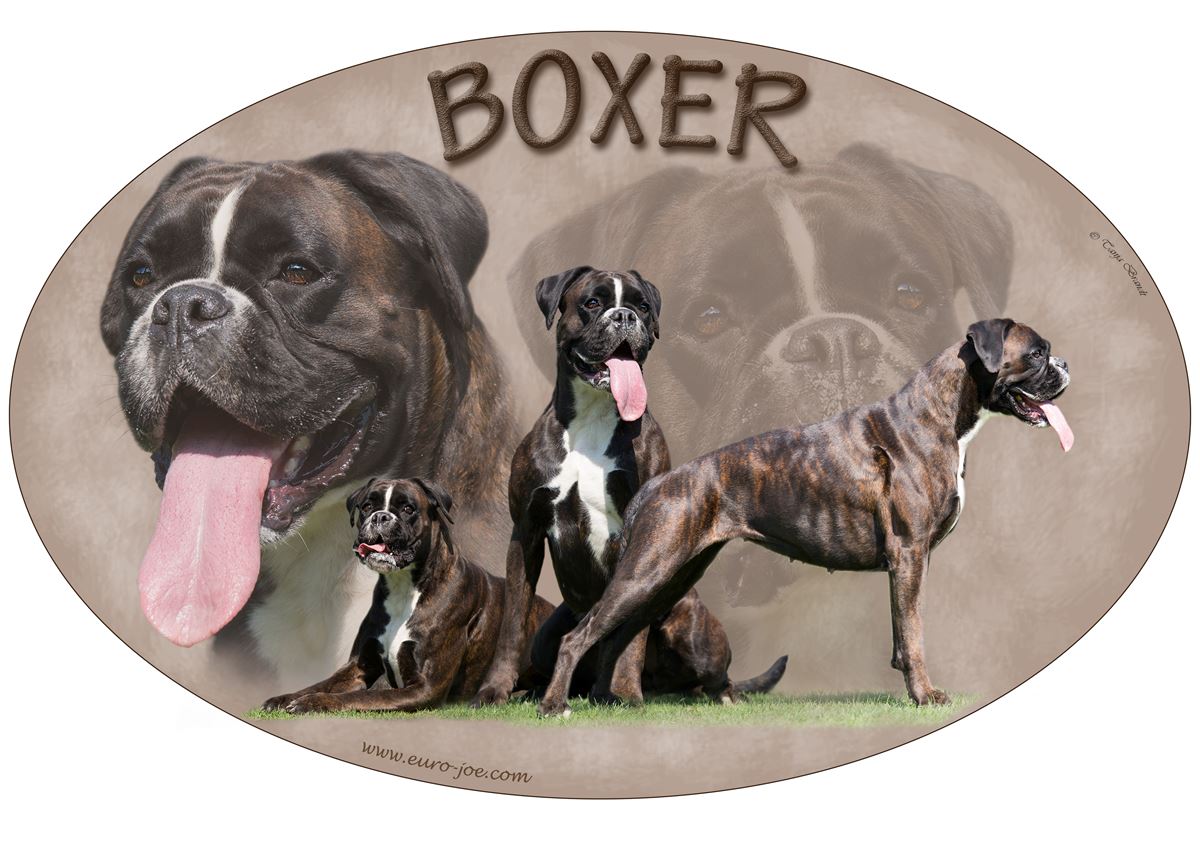 Boxer adesivi per auto