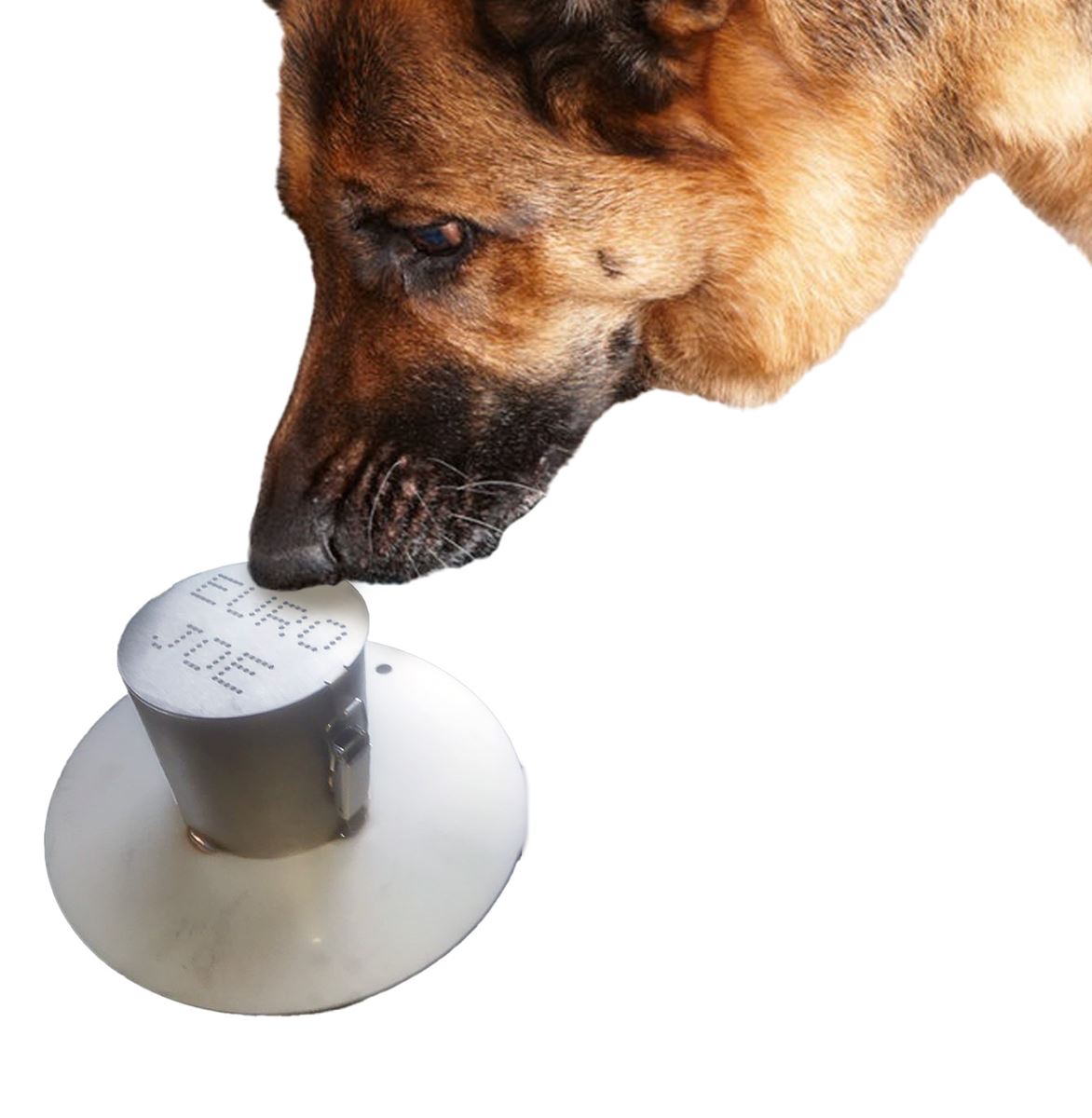 Perros de rastreo