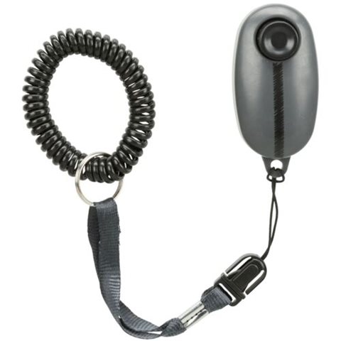 Clicker training