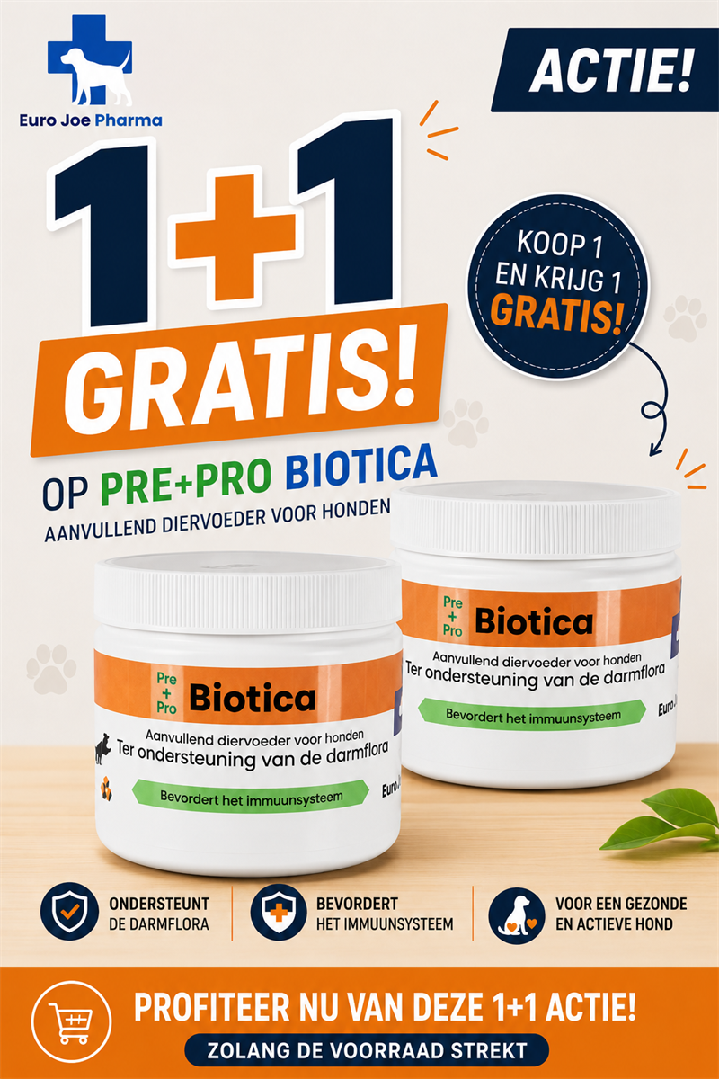 Pre &amp; Pro Biotica Kauwsnoepjes voor Honden – Spijsvertering &amp; Weerstand | Euro Joe