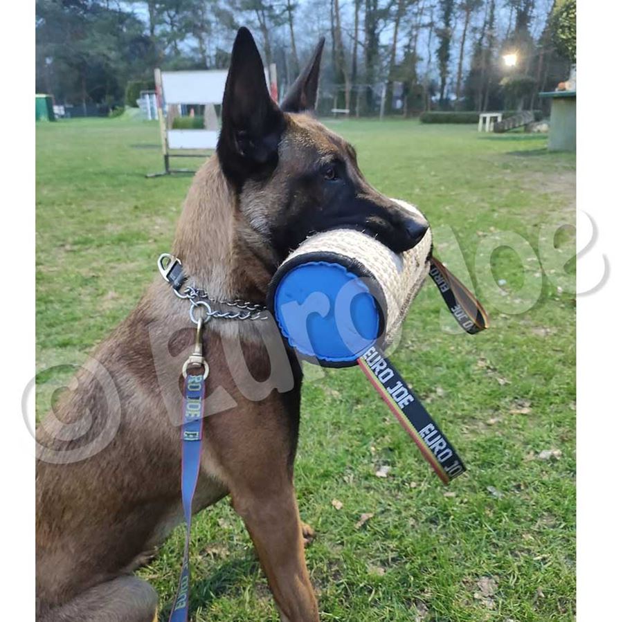 Matériel de dressage chien mordant