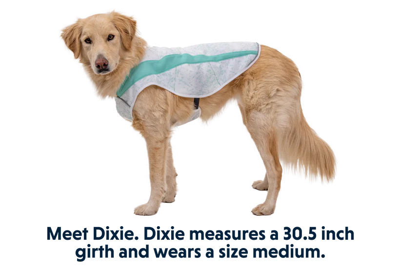 Swamp Cooler Vest