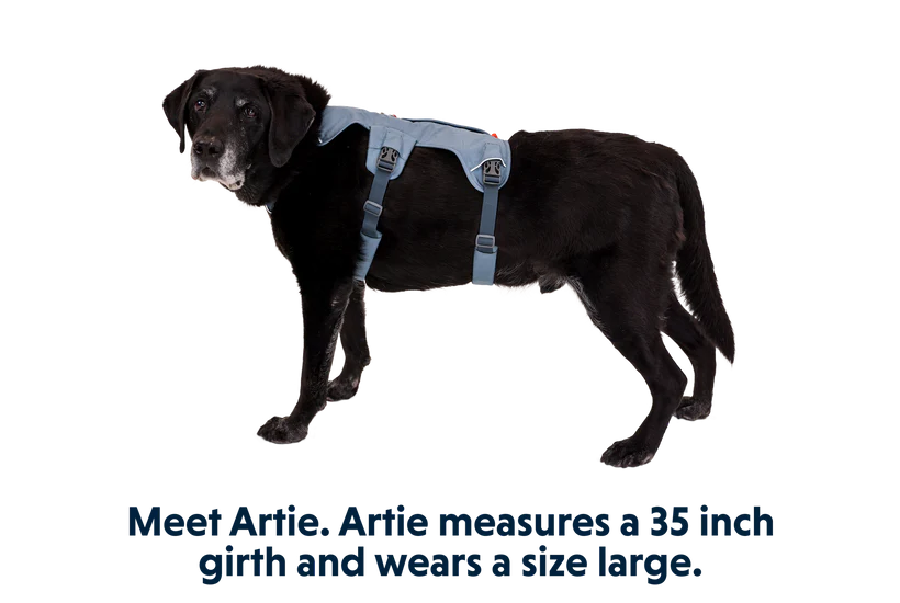 Ruffwear Web Master Dog Harness