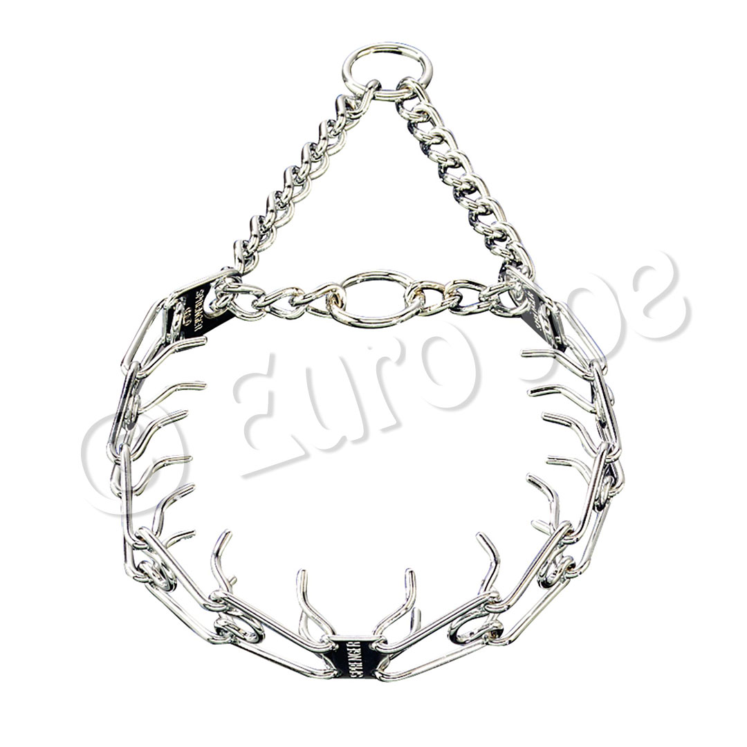 Training collar with slip chain