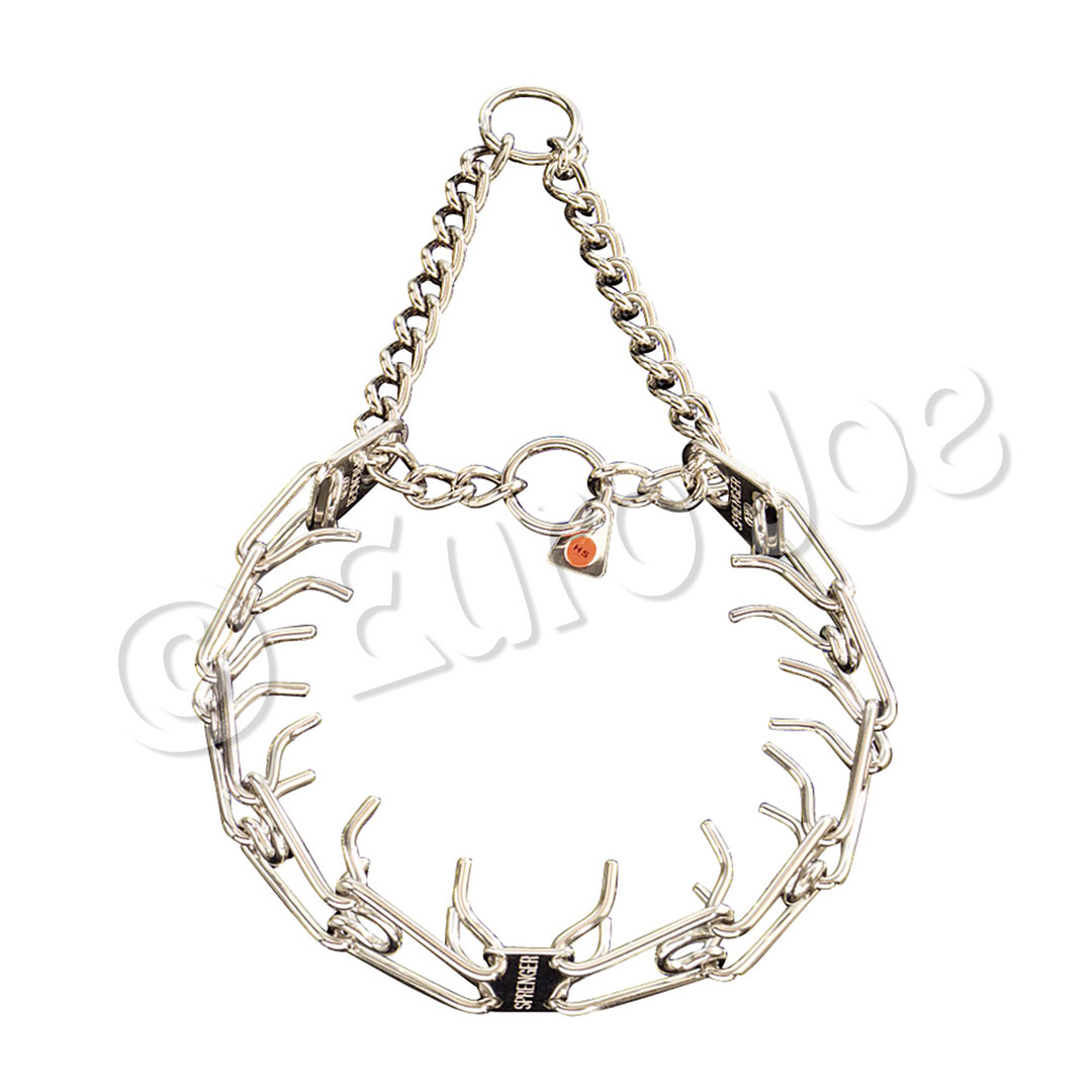 Training collar in noose