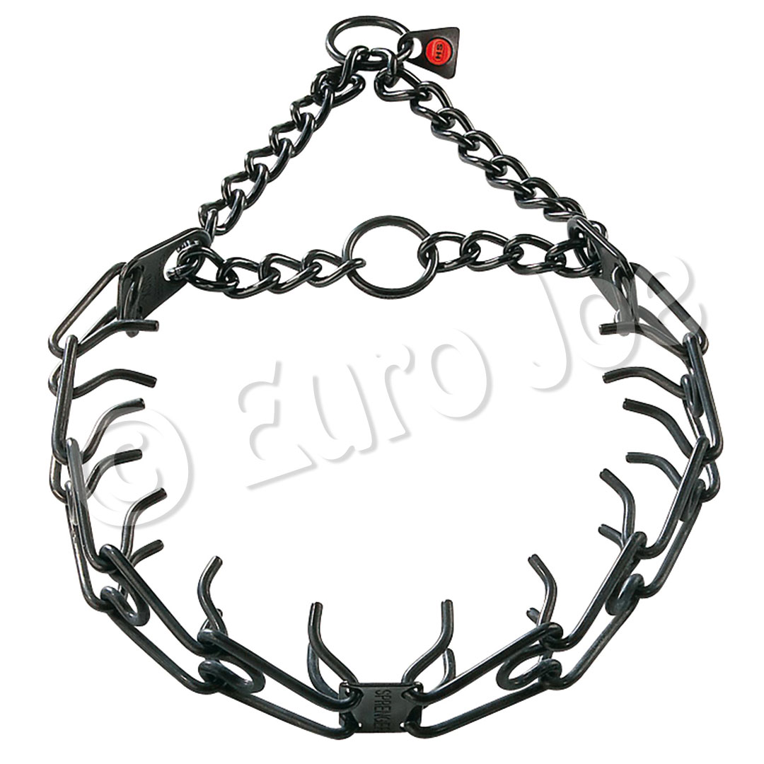 training collar in noose