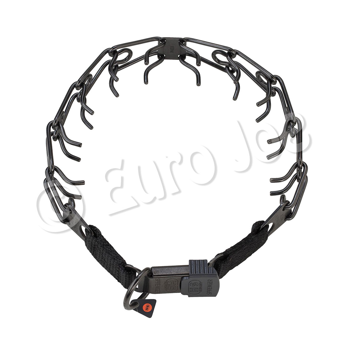 training collar with ClickLock
