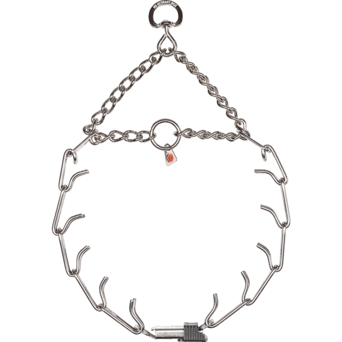 Training collar in noose with ClicLock