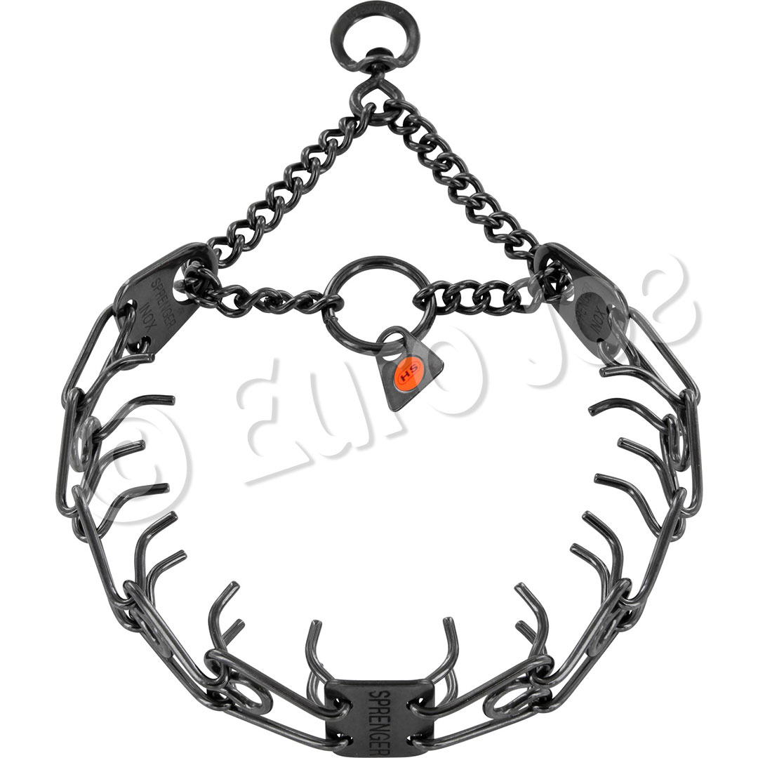 Training collar in noose with swivel
