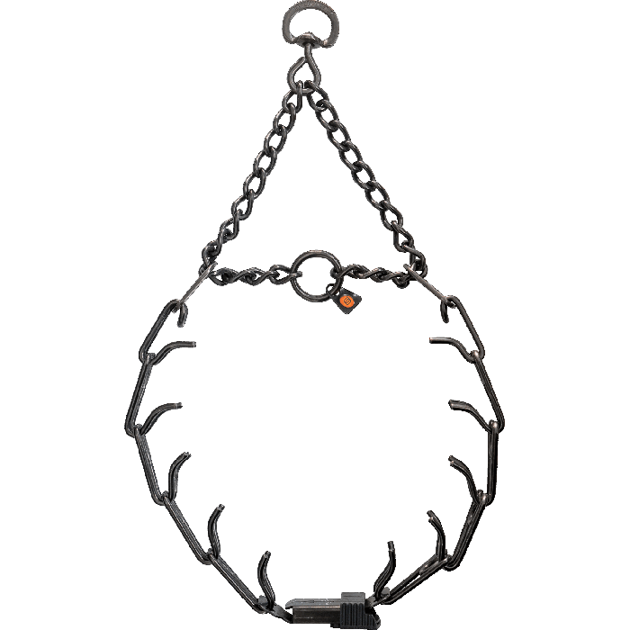 Training Collar with Assembly Chain, swivel and ClicLock