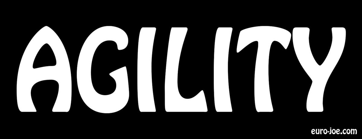 Name patch "Agility"