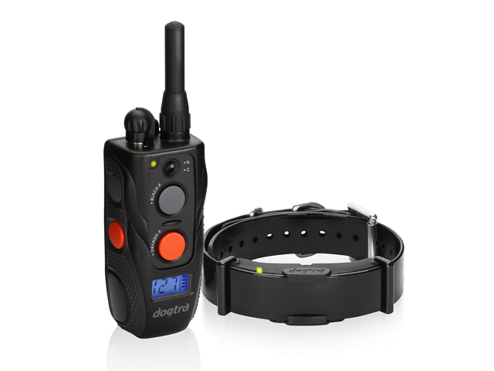 Dogtra Arc 800