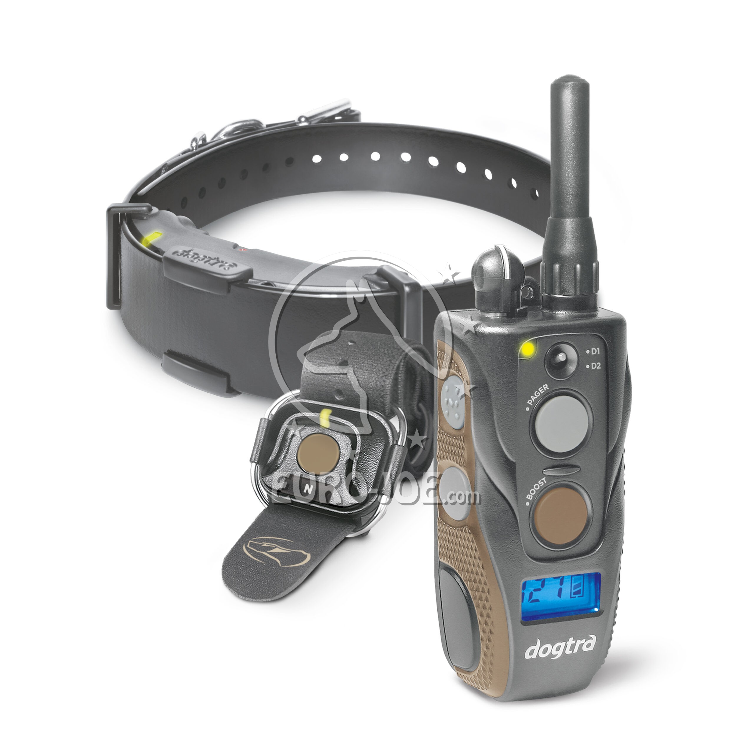 Dogtra Arc 800 free plus