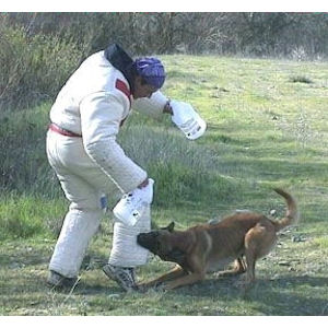 Belgian suit – training model, heavy padding
