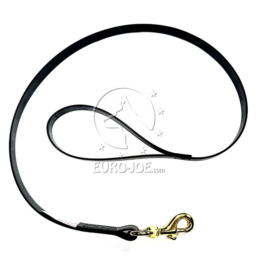 Leash Biothane Leash Biothane