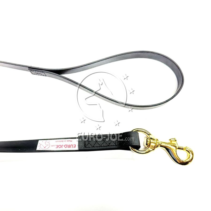 Leash Biothane Leash Biothane