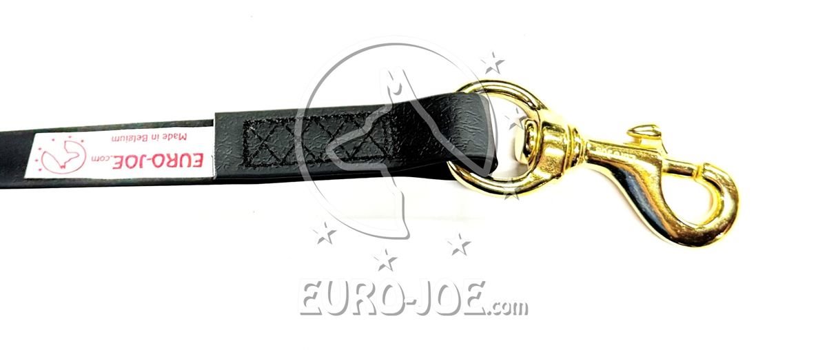 Leash Biothane Leash Biothane
