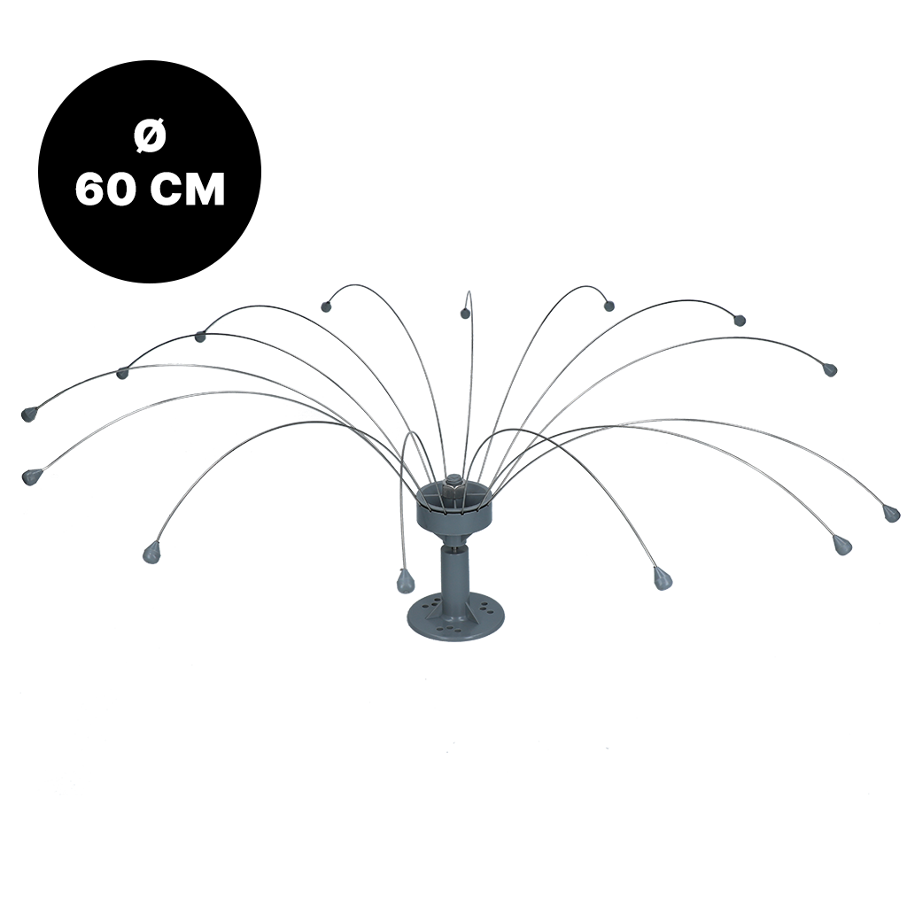 Birdshield Longlegs