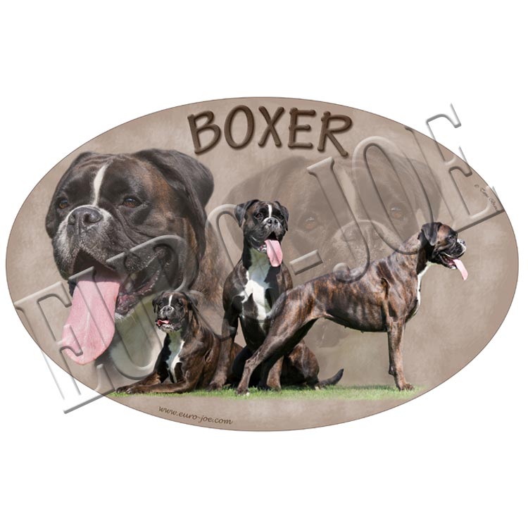 Transfer "Boxer"