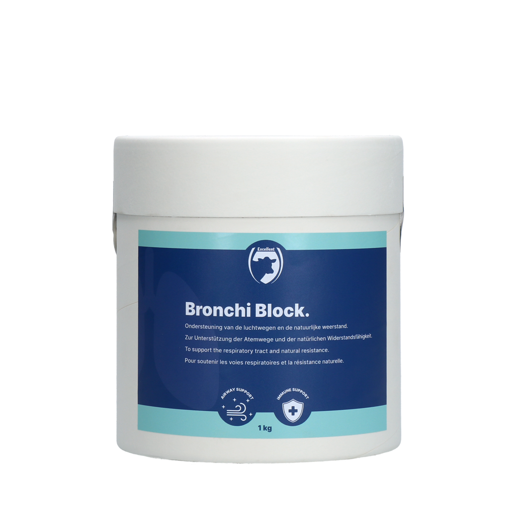 Bronchi Block 