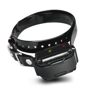 Dogtra 3500 NCP supplementary collar