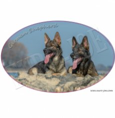 Transfer "German Shepherd"