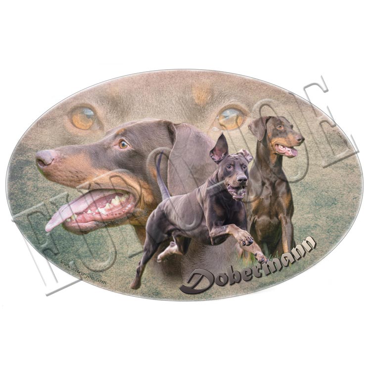 Transfer "Dobermann"