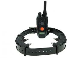 Dogtra Arc 802 (1col  |  2 rec.)