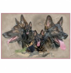 Transfer "German Shepherd" 001