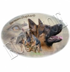 Transfer "German Shepherd" 002