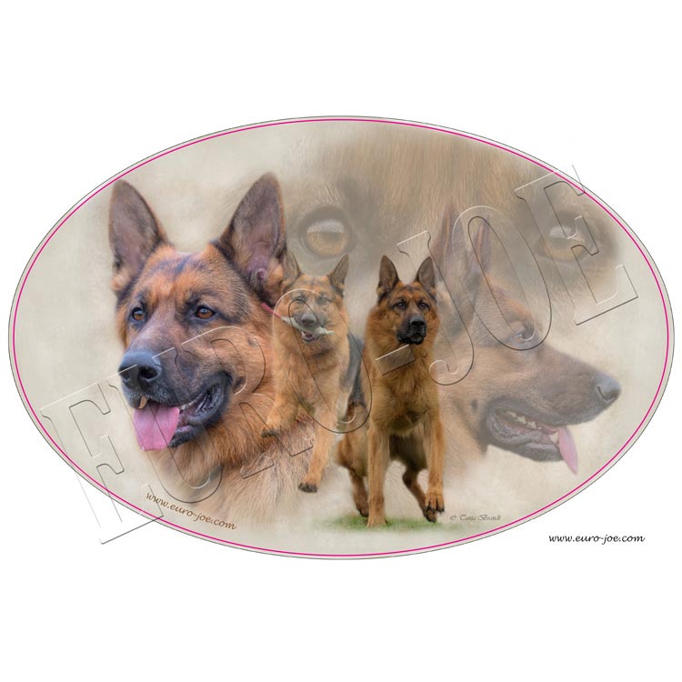 Transfer "German Shepherd" 004
