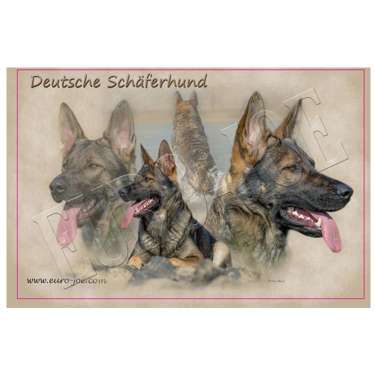 Transfer "German Shepherd" 005