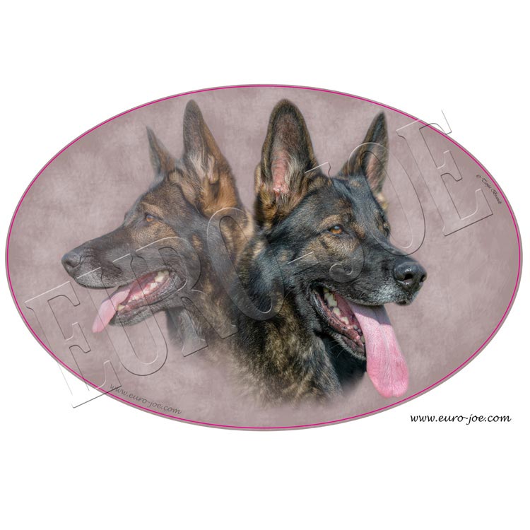 Transfer "German Shepherd" 008