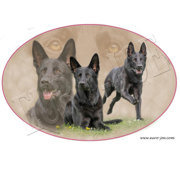 Transfer "German Shepherd" 007