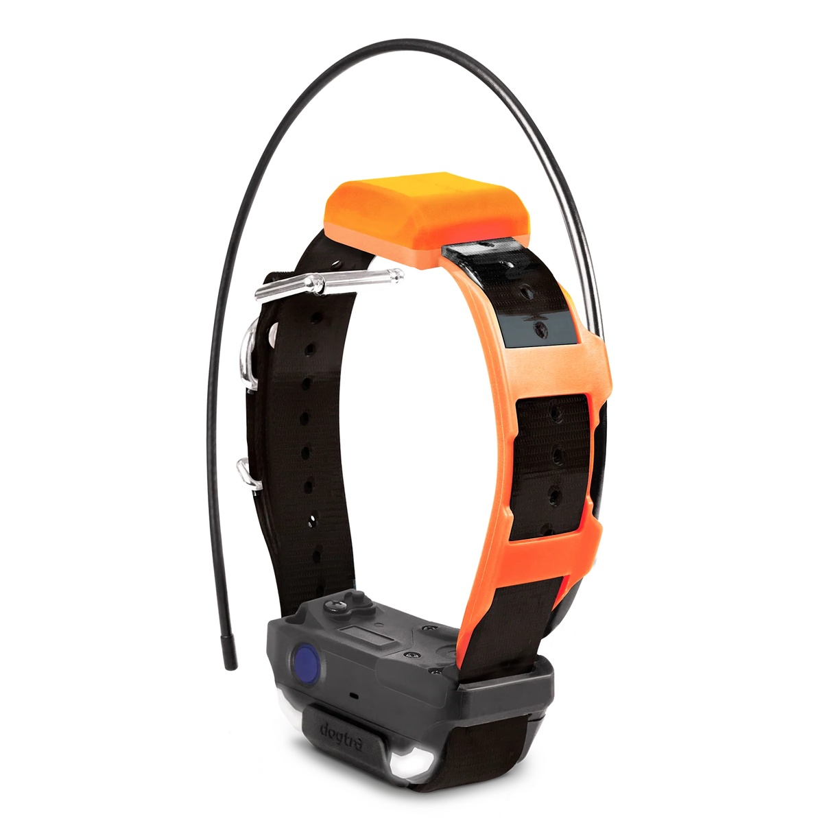 Extra GPS-Halsband Dogtra PATHFINDER 2 TRX | Zwart/Oranje/Groen/Blauw
