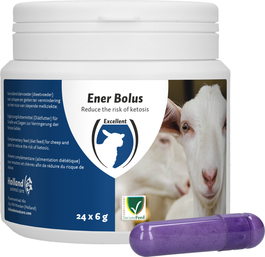 Excellent Ener Bolus Sheep &amp; Goat 