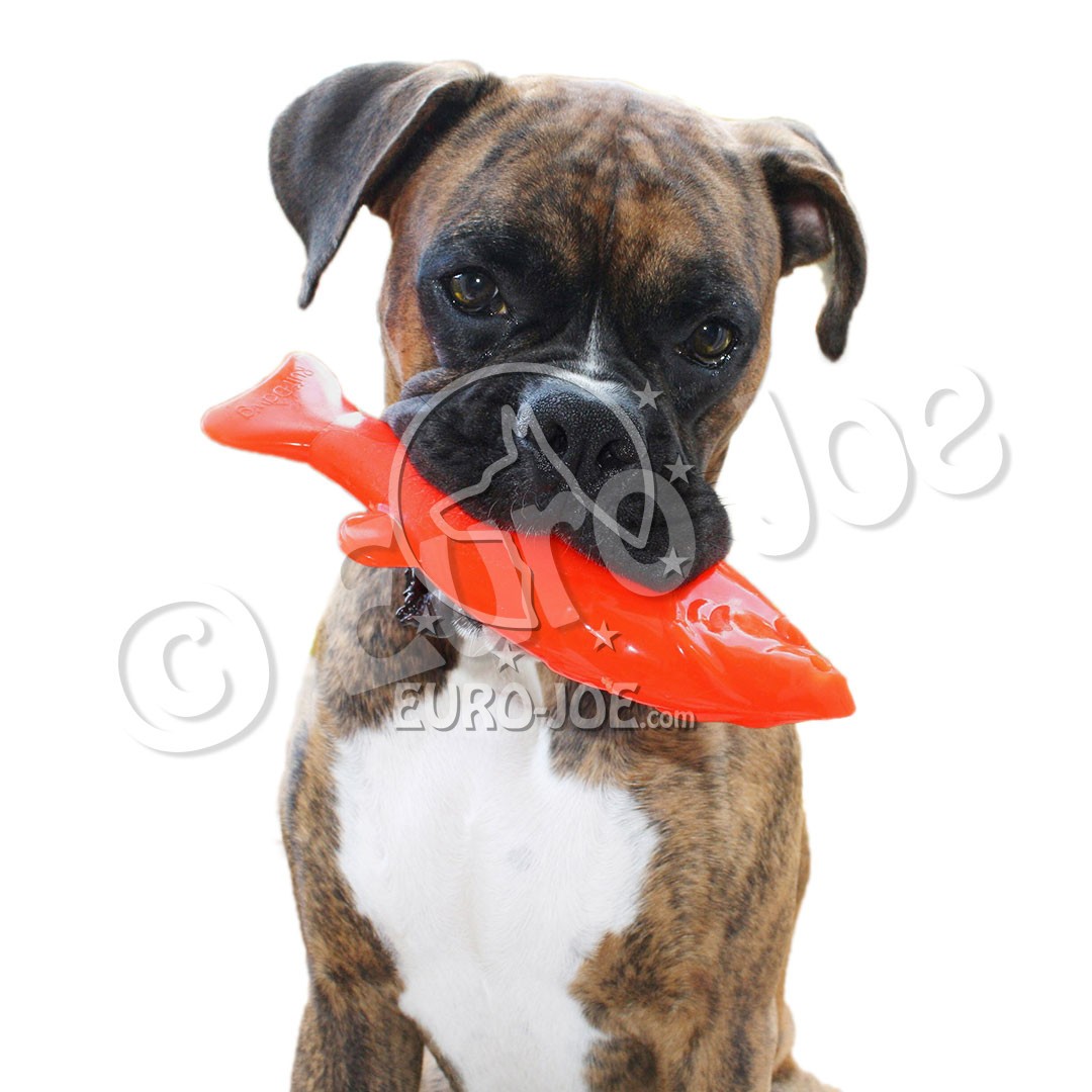 RuffDawg Flying Fish &amp; Minnow