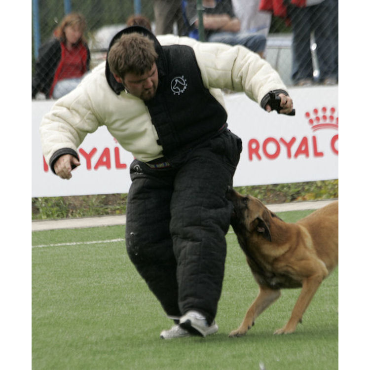 French Ring suit semi-training