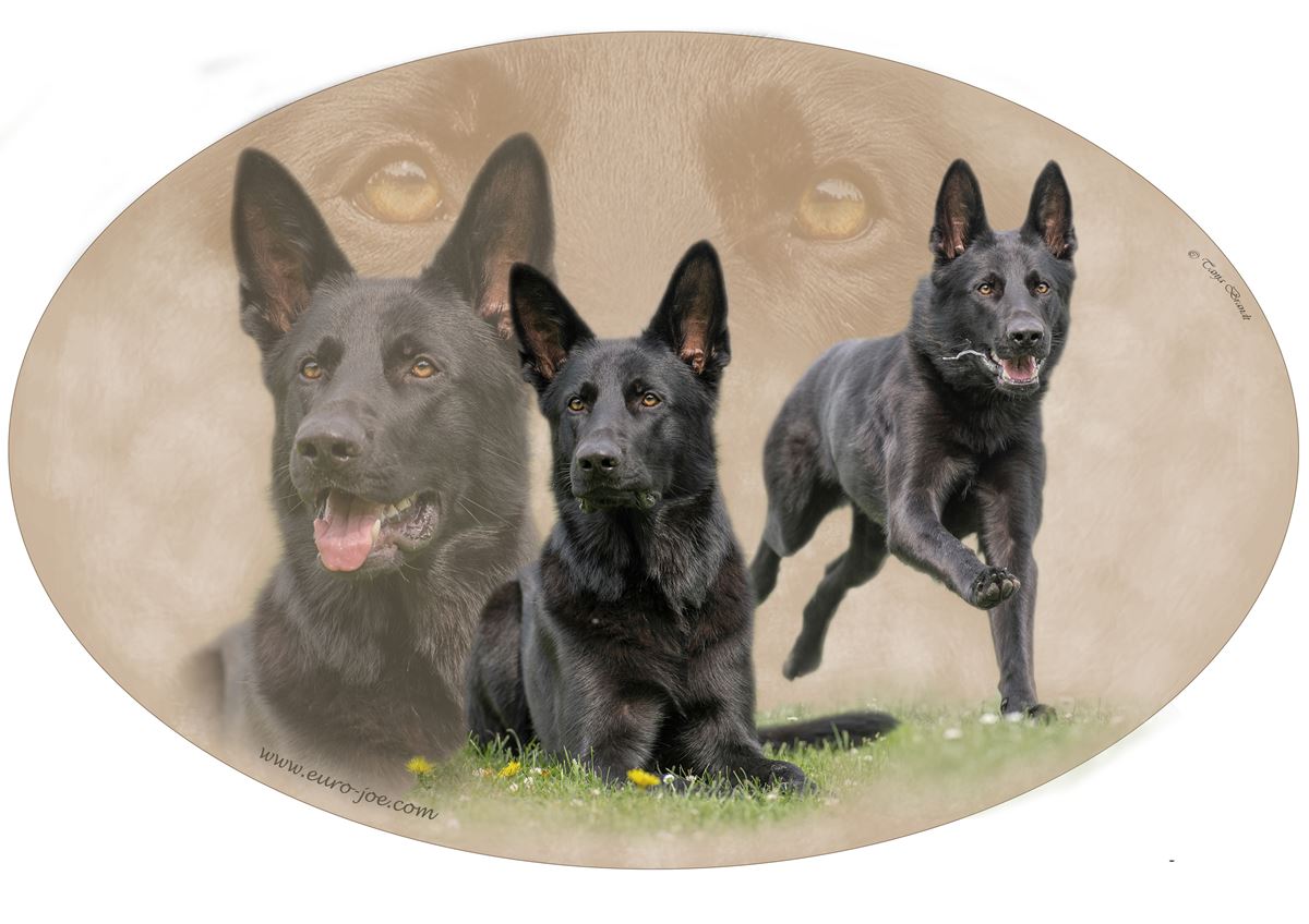 Adesivo di cane pastore tedesco nero