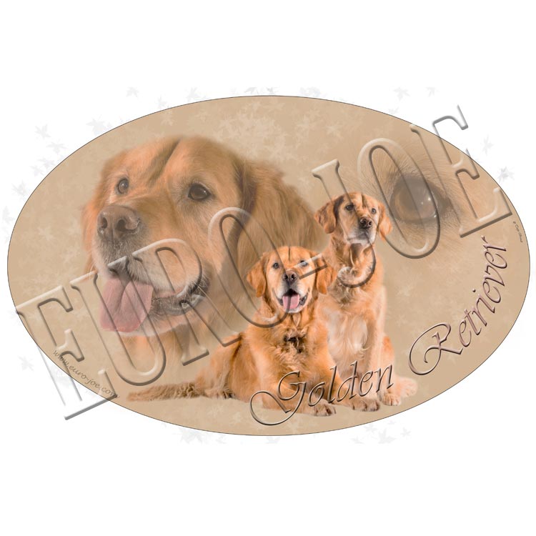 Transfer "Golden Retriever"