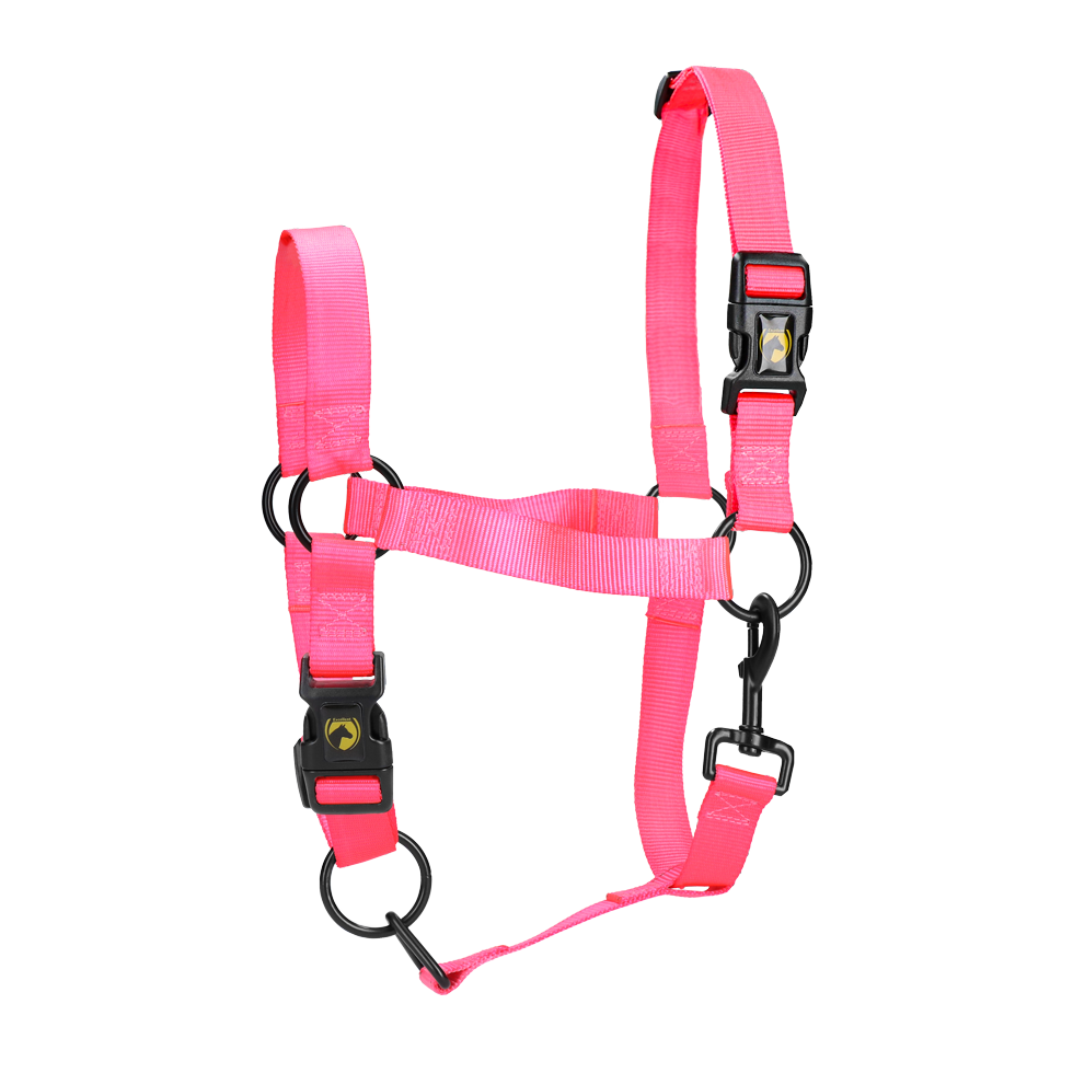 Excellent Essential Halter