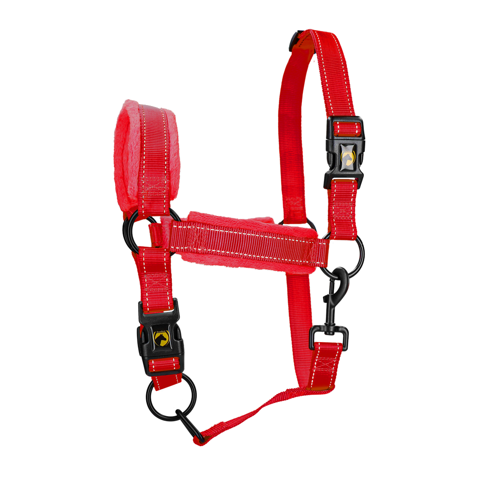 Excellent Superior Halter