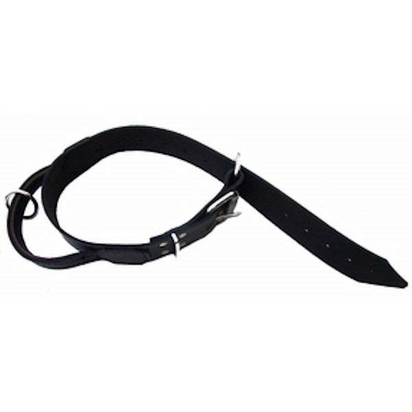Lether collar 50 mm wide Lether collar 50 mm wide