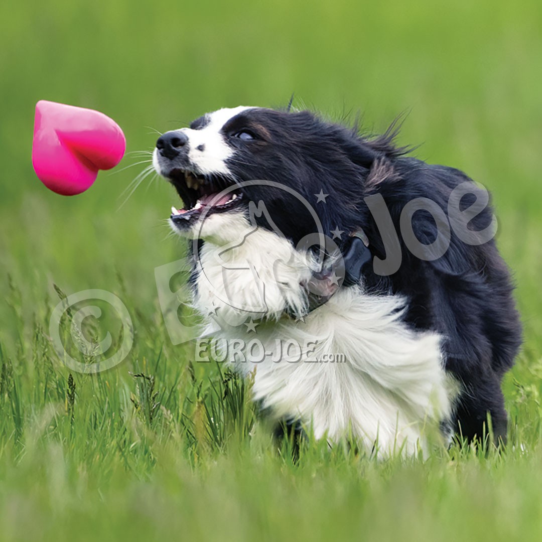 RuffDawg Dawg Hart