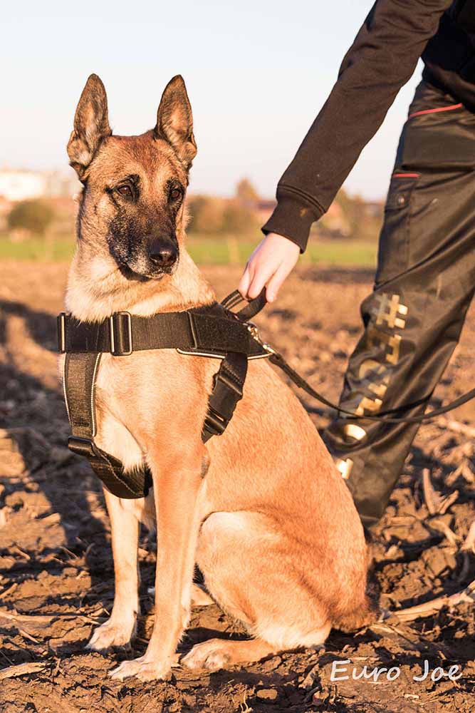 Nylon harness 'Hercules'