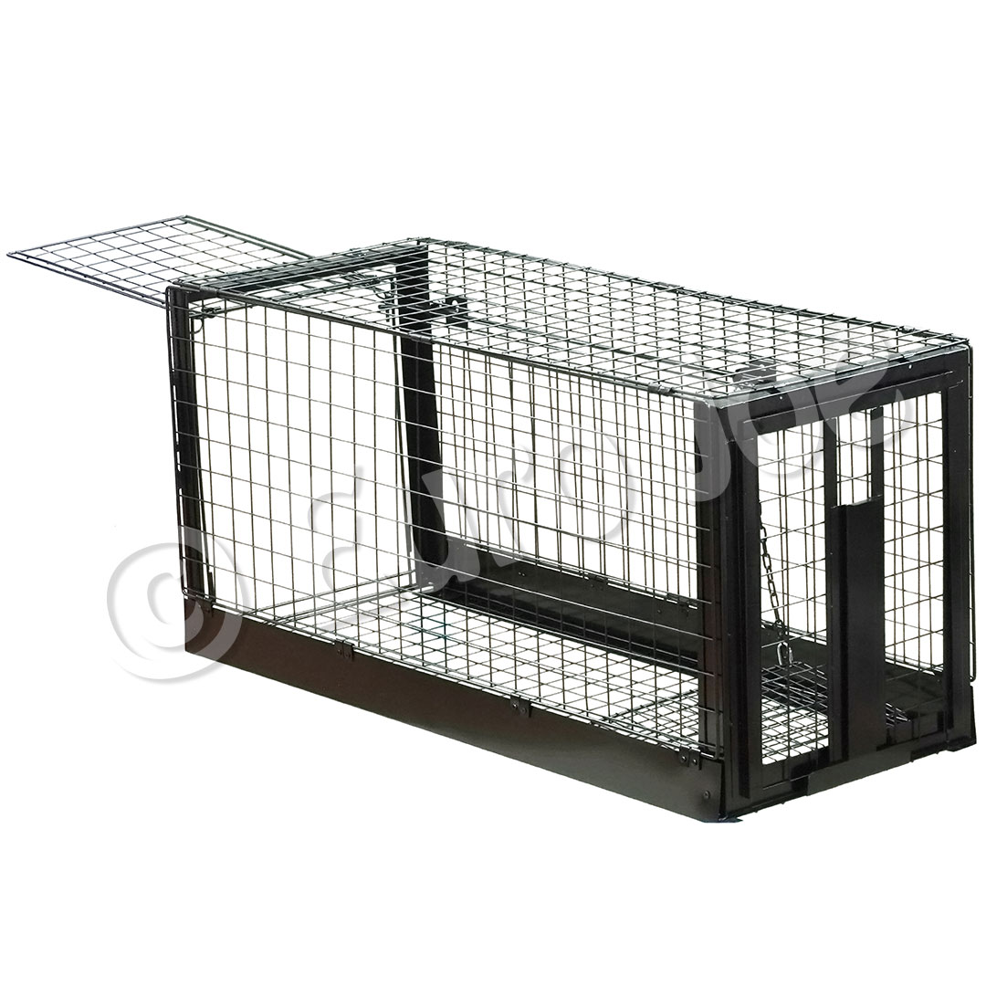 Folding Dog Trap