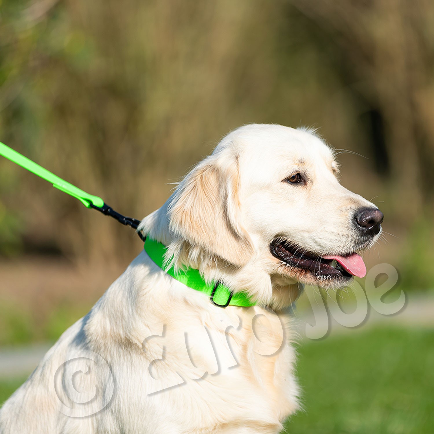 Collar "Sporty"