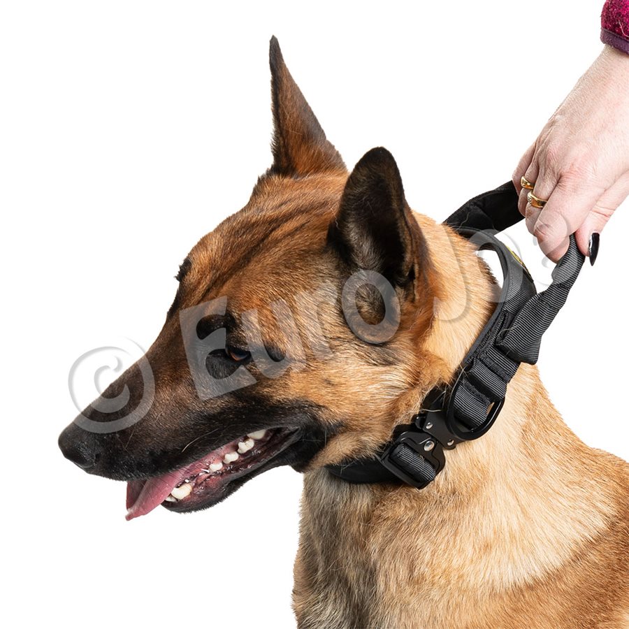 "Iron Power" collar golden brown "Iron Power" collar golden brown