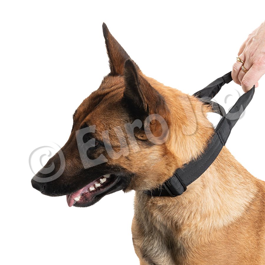 "Iron Power" collar black "Iron Power" collar black