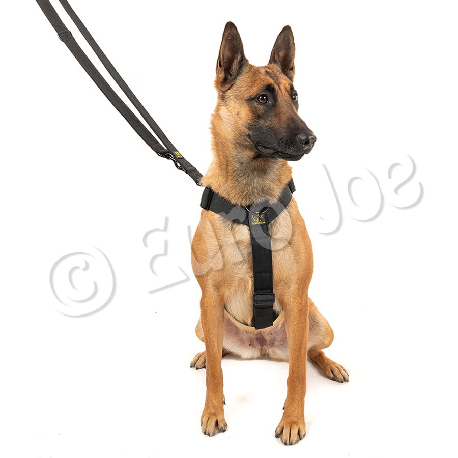 "Iron Power" Police Leash dark camouflage "Iron Power" Police Leash dark camouflage